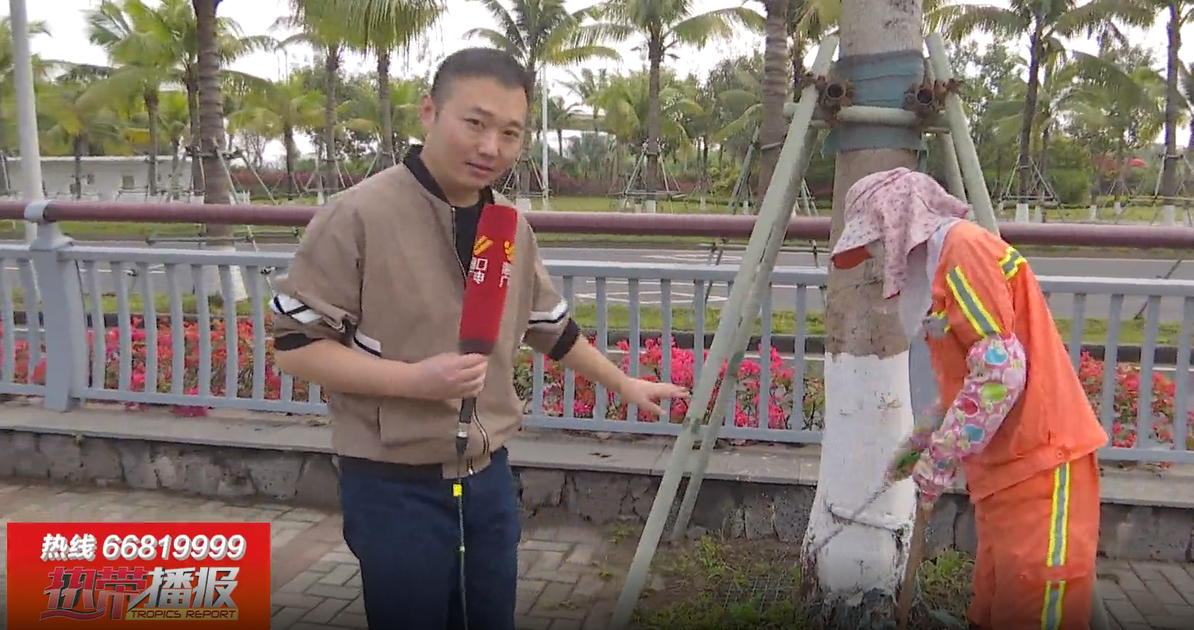 转载 | 热带播报：“马路上”的坚守，他们春节“不打烊”!